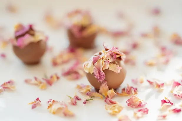 ティーユーエスケー カジノ Android/iOS アプリ